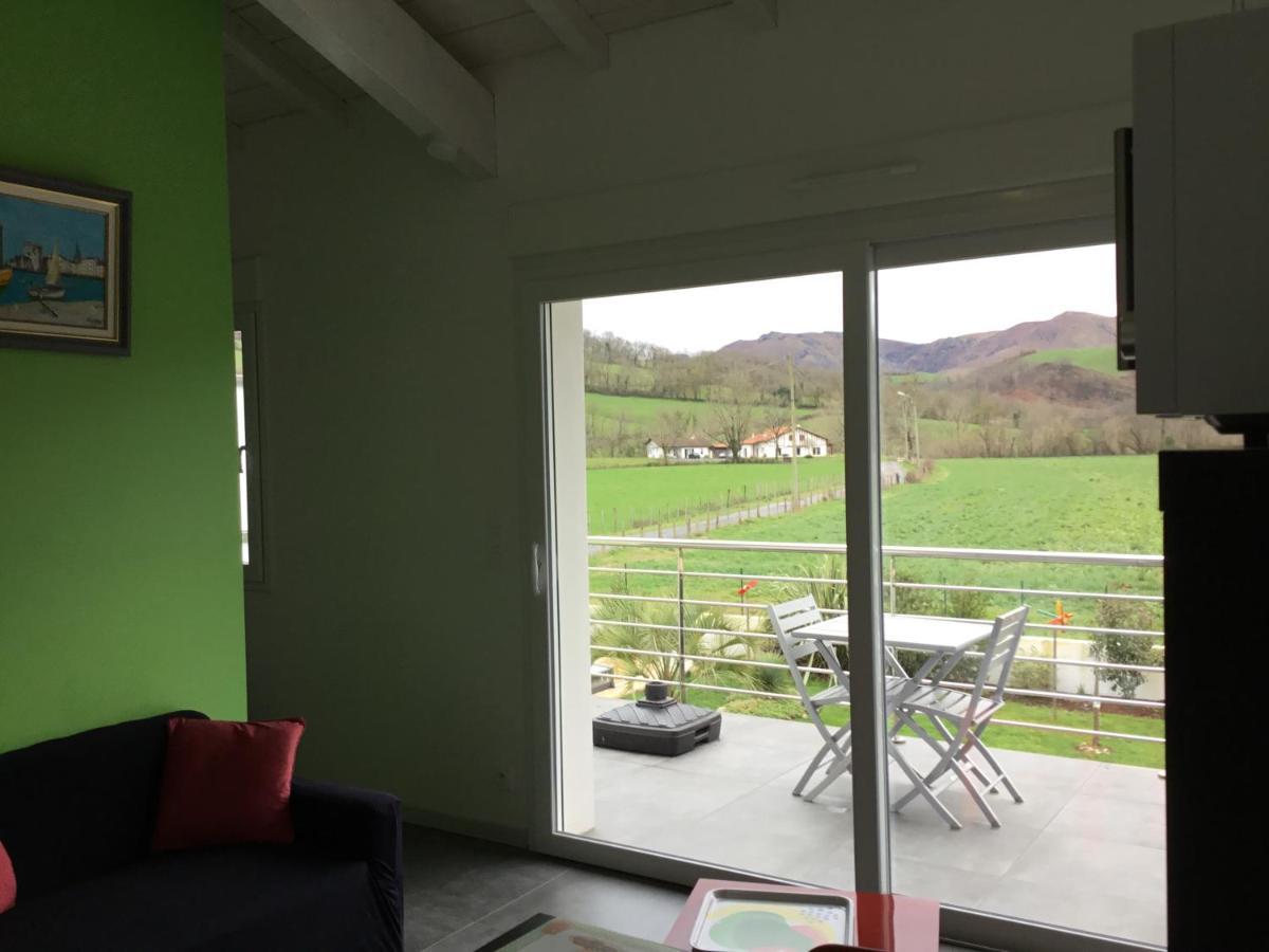 Gites Vue Montagne St Jean Pied De Port Pays Basque 생장피드포르 외부 사진