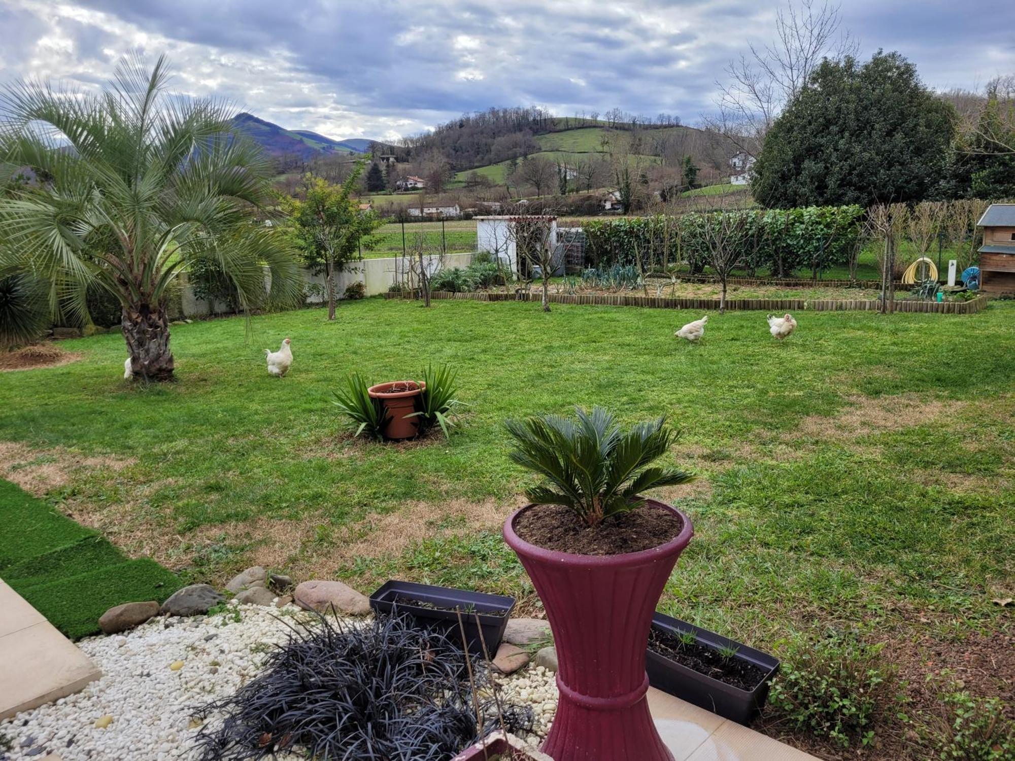 Gites Vue Montagne St Jean Pied De Port Pays Basque 생장피드포르 외부 사진